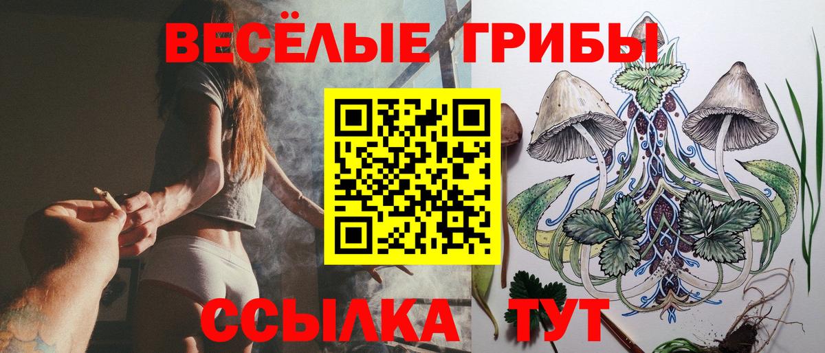 что такое наркотик  Вход с VPN  Абинск  Псилоцибиновые грибы MAGIC MUSHROOMS  Галлюциногенные грибы Cubensis 