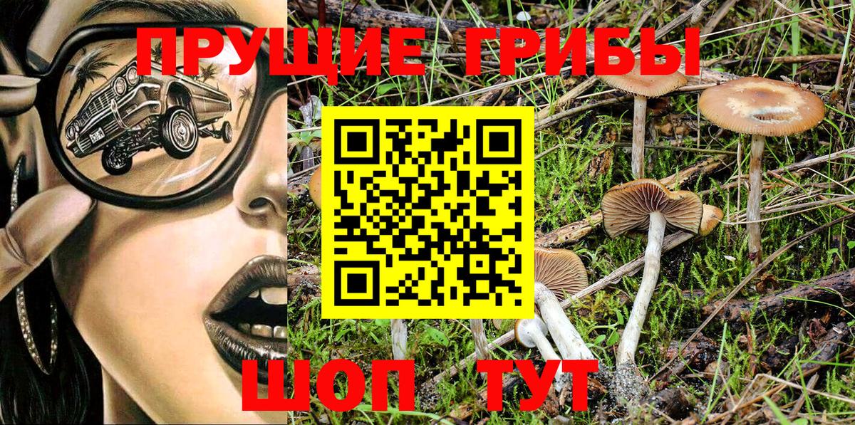 Псилоцибиновые грибы GOLDEN TEACHER Абинск