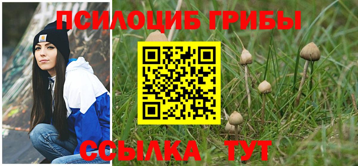 купить наркотики цена  Абинск  Галлюциногенные грибы MAGIC MUSHROOMS 